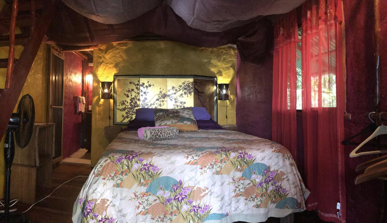 Free Spirit Oasis Hotel Bocas Town Ngoại thất bức ảnh