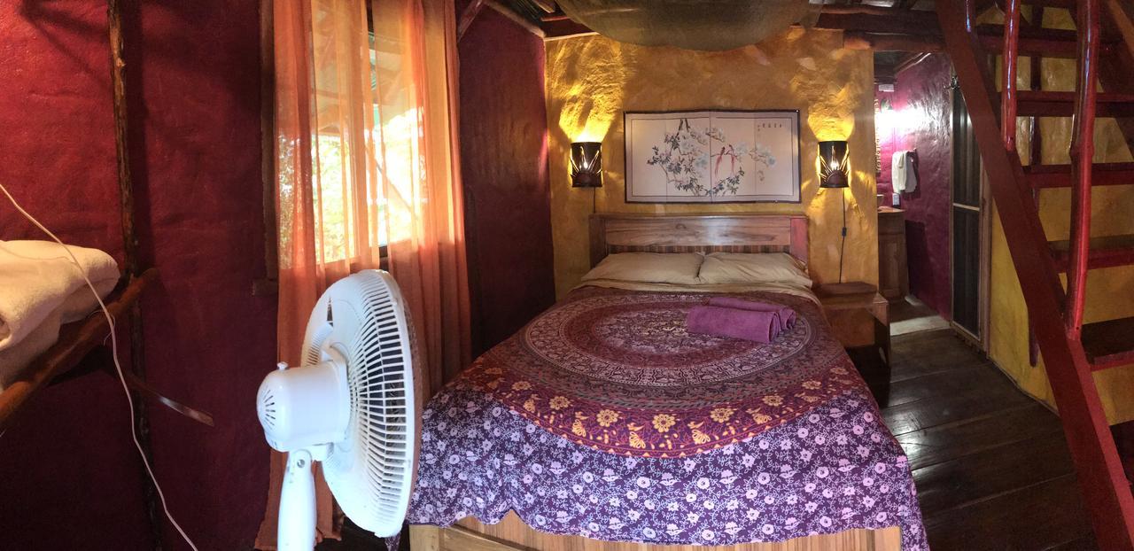 Free Spirit Oasis Hotel Bocas Town Ngoại thất bức ảnh