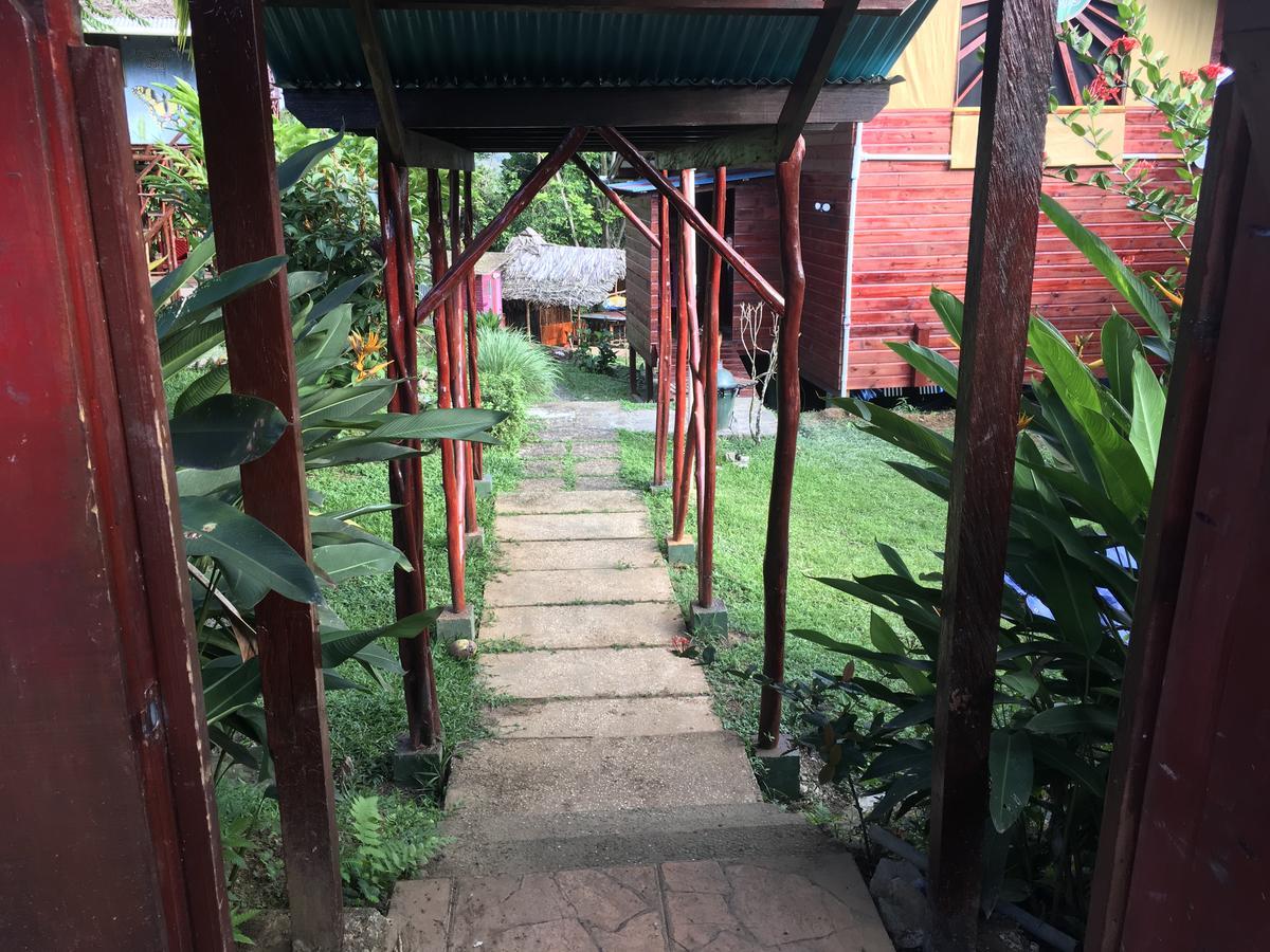 Free Spirit Oasis Hotel Bocas Town Ngoại thất bức ảnh